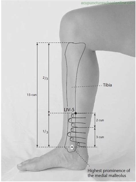 lv 5 acupuncture point.